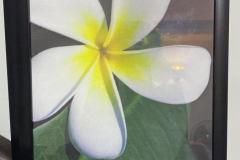Picture-35