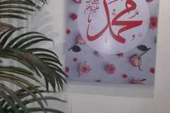 Picture-41
