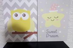 Picture-48