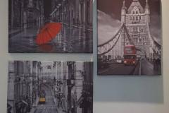 Picture-51