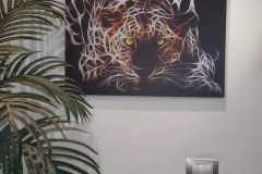 Picture-56