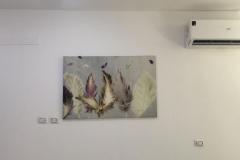 Picture-6