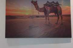 Picture-62