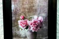 Picture-69