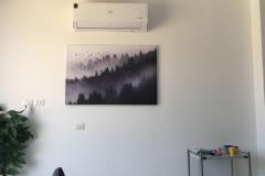 Picture-7
