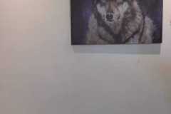 Picture-71